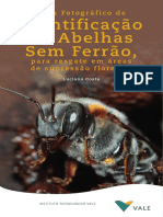 2019 Guia Identificação de Abelhas Oficial