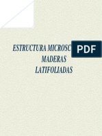 Estructura microscópica maderas latifoliadas