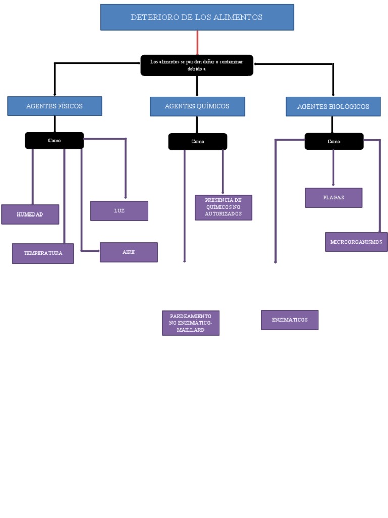 Mapa Conceptual Del Deterioro en Alimentos | PDF