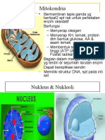 Revisi of Sel-struktur&Fungsi2