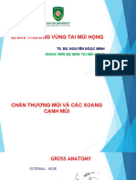 (Fall 2018) Tai mui hong - Slides CHAN THUONG TMH đại học Tân Tạo