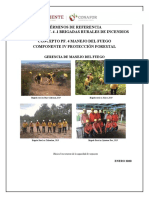 Términos de Referencia Modalidad Pf. 4 .1 Brigadas Rurales de Incendios Concepto Pf. 4 Manejo Del Fuego Componente Iv Protección Forestal