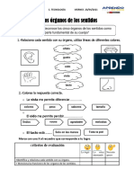 Ficha Viernes 23 Ciencia