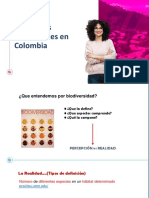 Problemas Ambientales Colombia - 2020