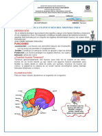 Actividad Ciencias Naturales Grado 301 Primer Periodo 2021