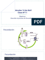 Ciencias 7º (Semana 4 Online)