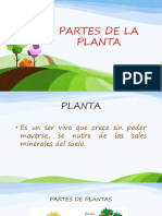 Diapositiva Partes de La Planta