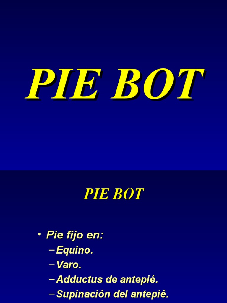 Pie Bot PDF