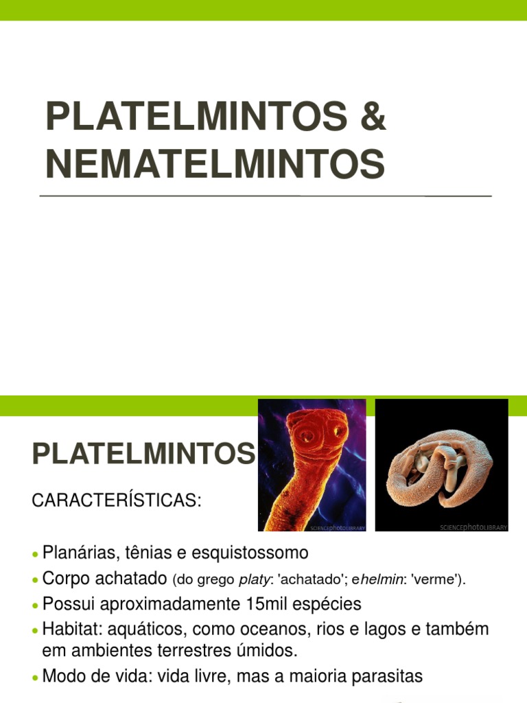 Características de Platelmintos e Nematelmintos | PDF | Nematoda | Biologia