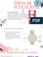 Grupo 3 Tipos de Articulaciones