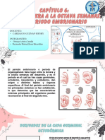 Capítulo 6 y Capitulo 7 de La Tercera A La Grupo 3