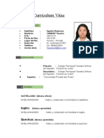 CV Ingeniería Civil