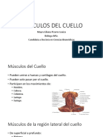 Clase 6. Musculos Del Cuello