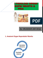 Anatomi Organ Reproduksi Wanita & Pria