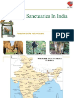 Wildlife Sanctuaries in India: Paradise For The Nature Lovers