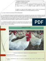 Crianza de aves de corral: Manejo de la reproductora pesada