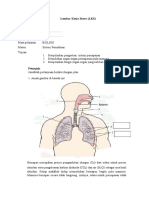 LKS Sistem Pernafasan 2