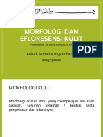 morfologi dan efloresensi kulit