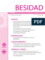 Obesidad 2010 2