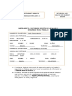 Instrumento de GS-SST