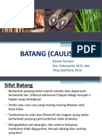 Batang (Caulis) 2019