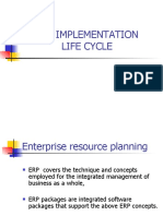 Erp-implementation Life Cycle