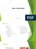 Spinal Cord Injury-: 27 Oktober 2020