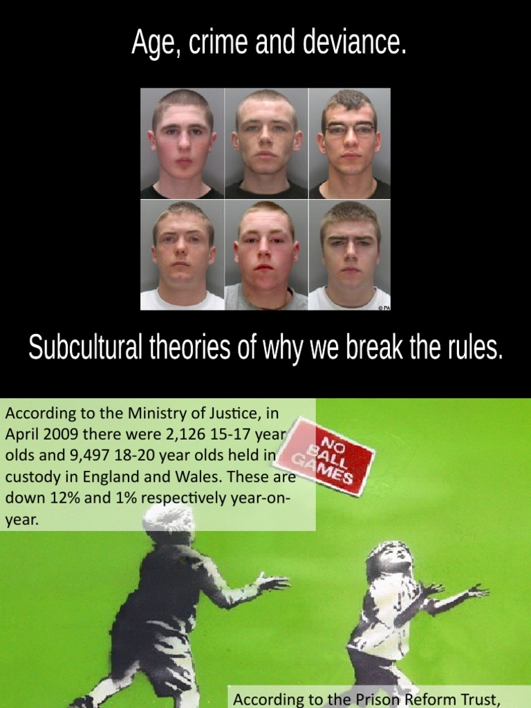 Sub Cultural Crime | PDF | Deviance (Sociology) | Gang