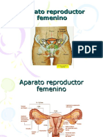 Aparato Reproductor Femenino