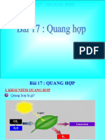 Quanghop 10 D y