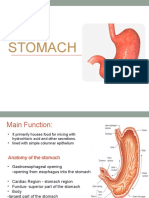 STOMACH