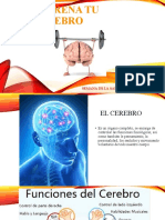 Entrena Tu Cerebro