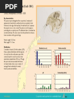 Bendre kumar practical botany pdf free