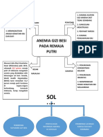 ANEMIA REMAJA PUTRI