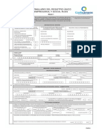 Formulario RUES en Blanco PN-PJ Versión 2020