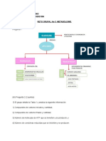 Reto Metabolismo