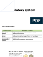 Circulatory System