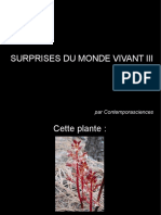 Surprises du monde vivant III