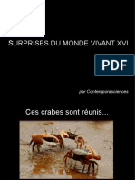 Surprises Du Monde Vivant XVI