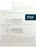 Actividad1 Pav