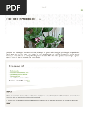 Fruit Tree Espalier Guide