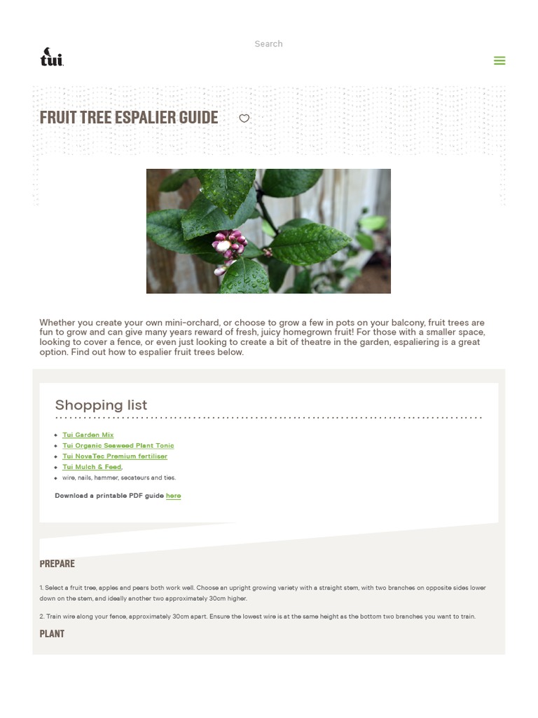 Fruit Tree Espalier Guide PDF Trees Weed