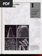 Capítulo 01 - La Evolución de La Célula