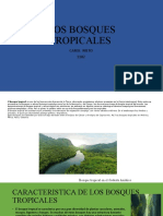 Bosques Tropicales