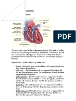 Cardio Vascular System