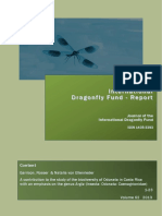 International Dragonfly Fund - Report: Content