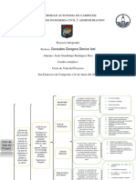 Cuadro Sinoptico Ciclo de Vida Del Proyecto