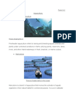 Freshwater Aquaculture Methods Compared: Fish Farming, Mariculture & Hydroponics