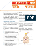 Sistema Endocrino Humano para Cuarto Grado de Secundaria