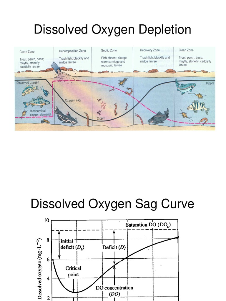 Oxygen Sag Curve PDF Transparent Materials Gases